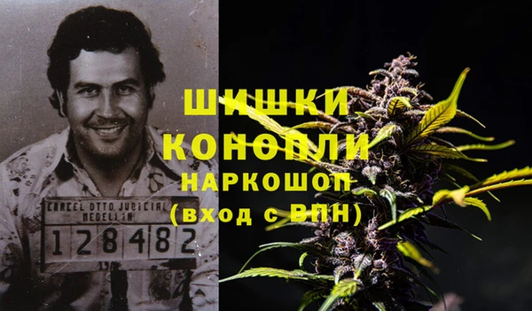 винт Бронницы