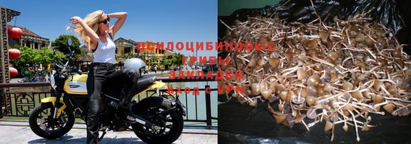 винт Бронницы