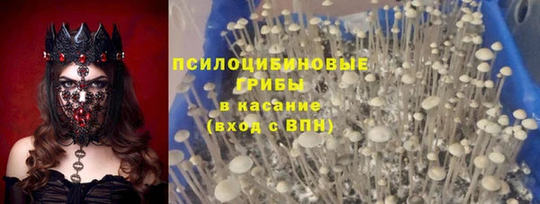 винт Бронницы