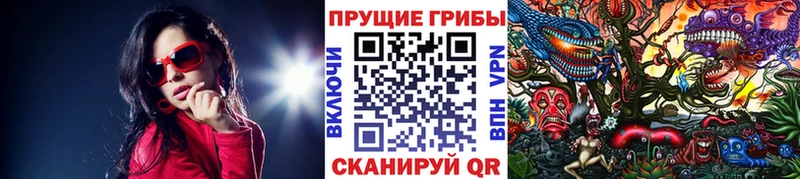 mega сайт  Новохопёрск  Псилоцибиновые грибы Psilocybine cubensis 