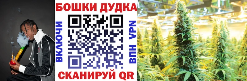 hydra ONION Новохопёрск Марихуана сатива